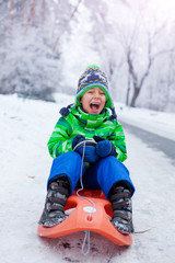 Little boy having fun with sled in winter park
