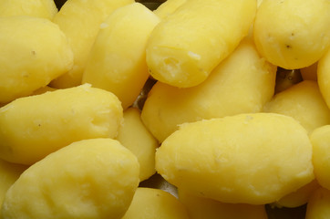 Papas Solanum tuberosum