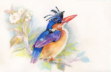 Drawing of beautiful bright bird and flowers