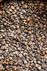 Dry and not roasted coffee beans close up