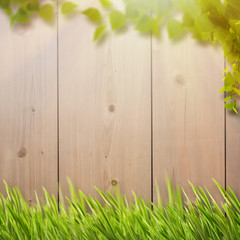 Abstract natural backgrounds with summer foliage, farm fence and