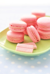 Macarons chewing-gum