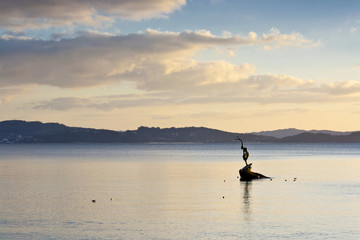 Fototapeta premium Mermaid on the rock