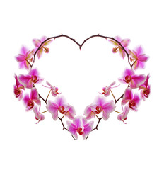 Fototapeta na wymiar Orchid Flowers heart. 