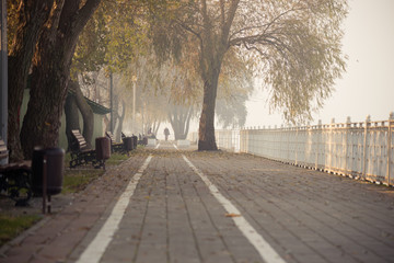 Autumn inn the city. Krasnodar, Russia
