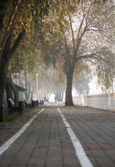 Autumn in the city. Krasnodar, Russia