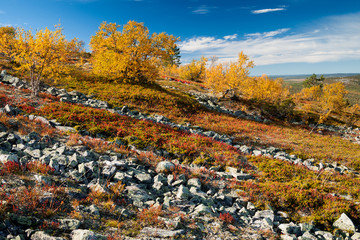 Herbstfärbung in Finnland
