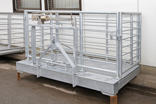 Live stock scale