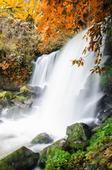 Fototapeta na wymiar Waterfall in Phu Hin Rong Kla national park, Thailand