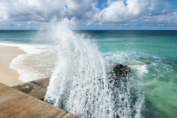 The Splash