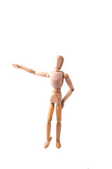 Wooden Model of the person