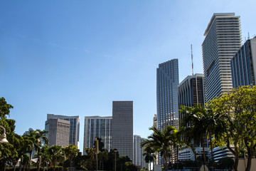 Fototapeta na wymiar Downtown of Miami.