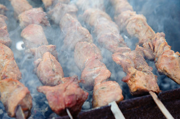 Juicy roasted kebabs on the BBQ