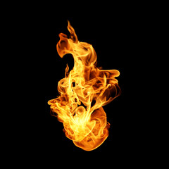 Fire flames collection isolated on black background © modify260