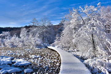 Road to Winter Wonderland