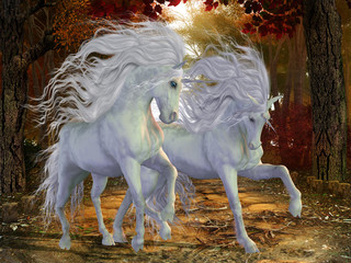 Unicorn Brothers © Catmando