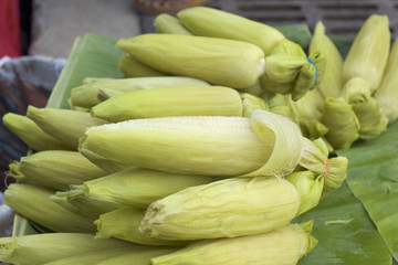 Sweet corn in the market