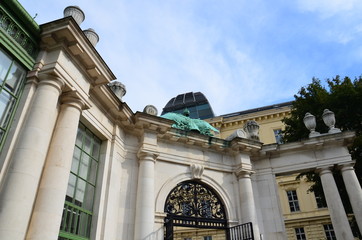 Glashaus, serre à papillons, Vienne 