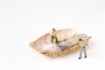 lumberman with peanut on white background