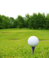 Golf ball on course