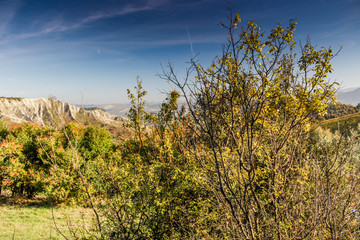 Autumnal Vineyards on badlands