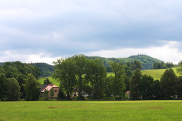 Obraz premium Summer landscape.