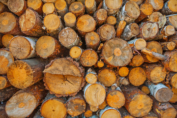 close up view on woods pile