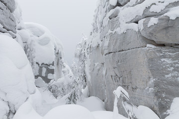 many different stones in the snow