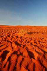Desert landscape with blue sky