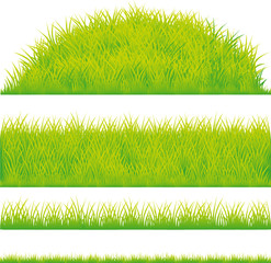 green grass design element - vector illustration