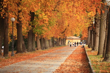 Toscana,Lucca in autunno. - obrazy, fototapety, plakaty