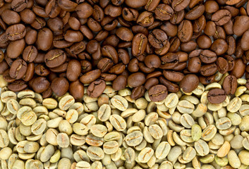 green and roasted coffee beans