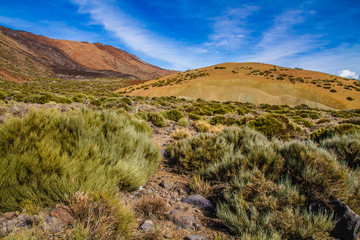 Teide National Park-Tenerife,Canary Islands,Spain