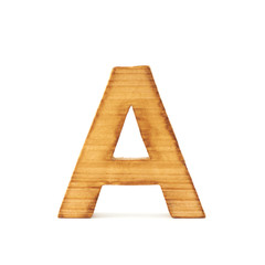 Capital block wooden letter isolated