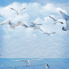 Vintage background with clouds and seagull