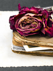 dried rose, old book and empty photograph as a romance metaphor