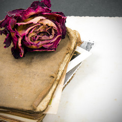 dried rose, old book and empty photograph as a romance metaphor