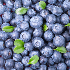 blueberries