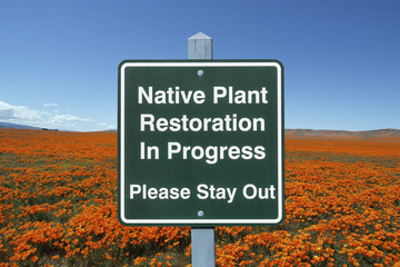 Native Plant Restoration Sign with Poppies