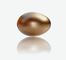 gold egg on the white background