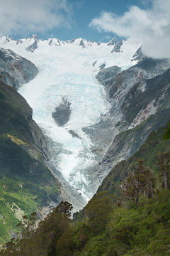 Franz Josef Gletscher, Gletscher, Neuseeland