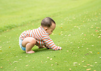 Asian baby boy playing in the park with green grass 