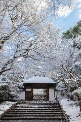 冬の安楽寺