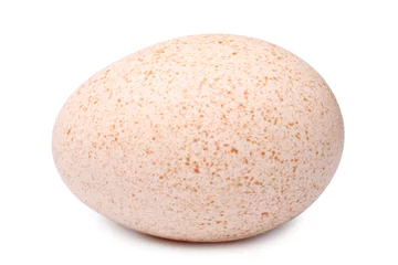 Fotobehang Turkey egg © Popova Olga