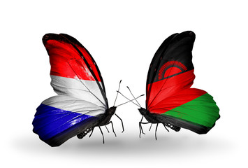 Two butterflies with flags Holland and Malawi