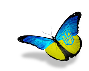 Fototapeta na wymiar Ukrainian flag butterfly flying, isolated on white background