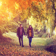 Couple holding hands walking in the forest in autumn