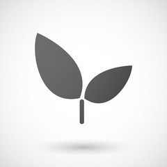 plant  icon on white background