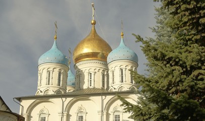 Fototapeta na wymiar Domes of the Cathedral of the Transfiguration of the Savior