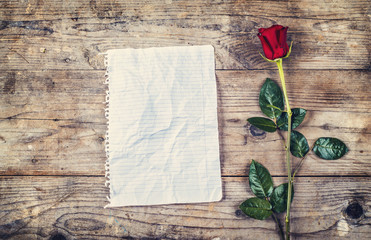 Love letter and rose